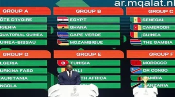 مجانية ومفتوحة.. تردد القنوات الناقلة لمباريات كأس أمم إفريقيا وكيفية ضبطها في منزلك